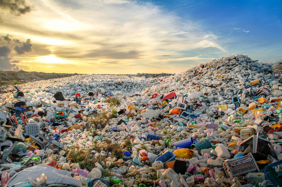 Could Plastics Be Affecting Your Sperm?