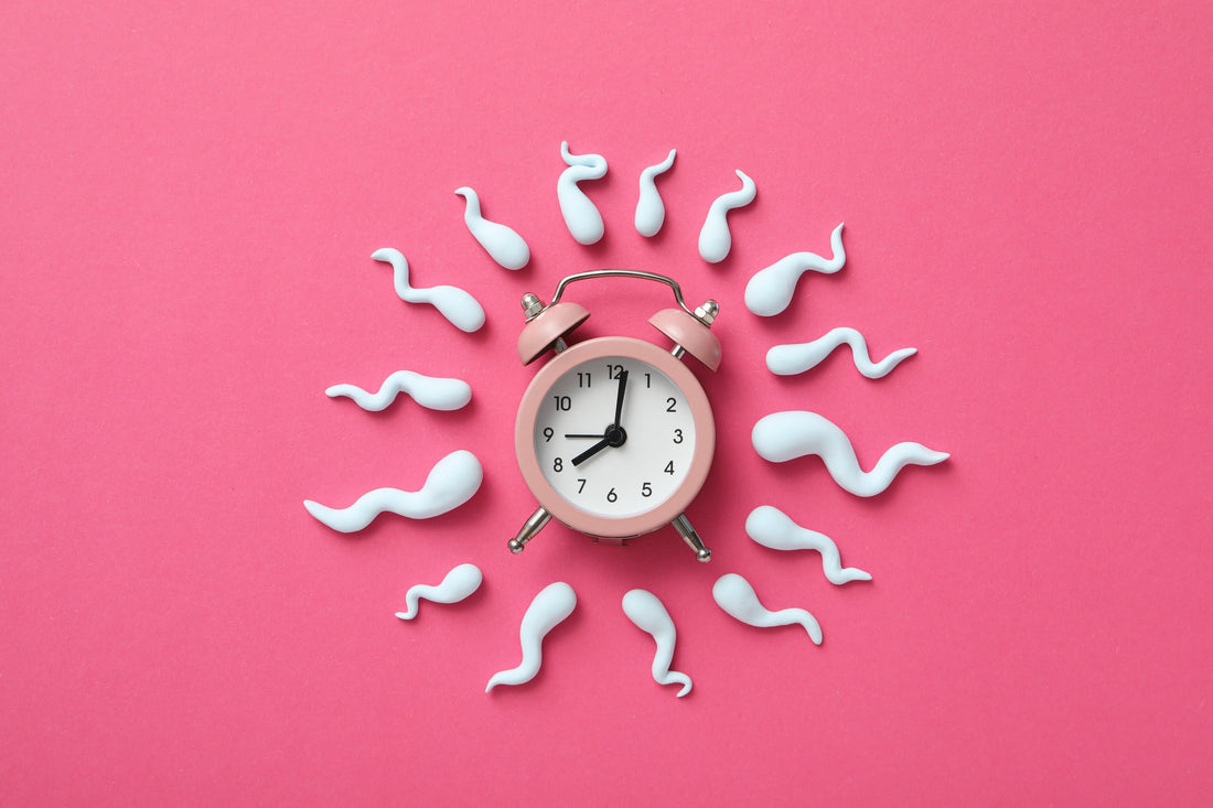How Long Does It Take to Improve Sperm Quality?