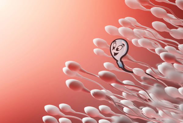 8 Ways To Improve Your Sperm Motility