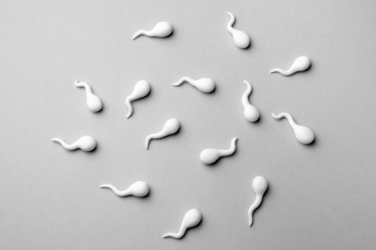 How Long Can Sperm Survive Inside and Outside the Body?