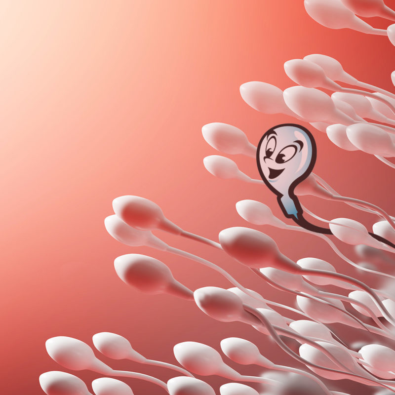 low-sperm-motility-what-does-it-mean