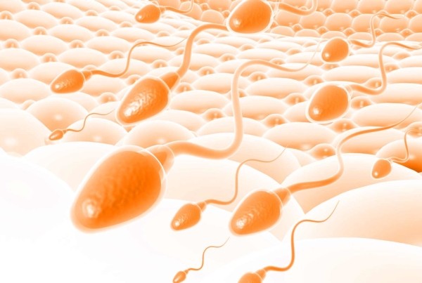 How do Sperm Swim